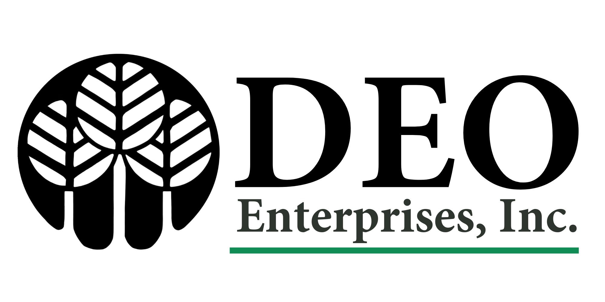 DEO Enterprises